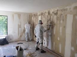 Best Real Estate Mold Inspection  in Cleveland, TX